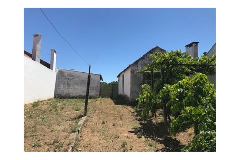 Helårsgrund i Riachos, Santarem, Riachos - € 48.500 | Ref: TER_139 - foto 4