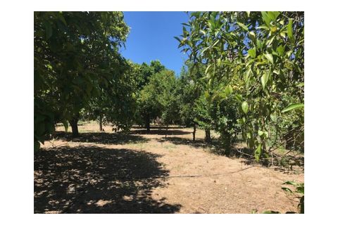 Helårsgrund i Riachos, Santarem, Riachos - € 48.500 | Ref: TER_139 - foto 6