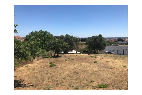 Helårsgrund i Riachos, Santarem, Riachos - € 48.500 | Ref: TER_139 - foto 7