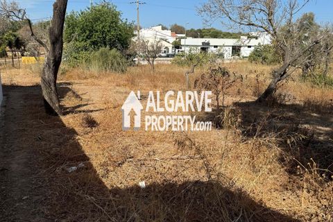 Helårsgrund i Almancil, Faro, Almancil - € 1.500.000 | Ref: TC248248P - foto 7