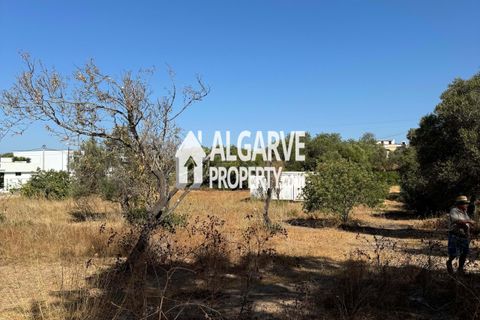 Helårsgrund i Almancil, Faro, Almancil - € 1.500.000 | Ref: TC248248P - foto 8