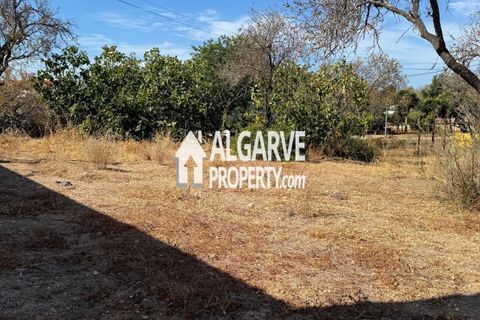 Helårsgrund i Almancil, Faro, Almancil - € 1.500.000 | Ref: TC248248P - foto 9