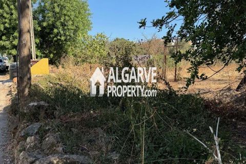 Helårsgrund i Almancil, Faro, Almancil - € 1.500.000 | Ref: TC248248P - foto 11