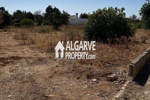 Helårsgrund i Almancil, Faro, Almancil - € 1.500.000 | Ref: TC248248P - foto 12