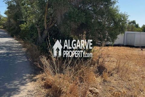 Helårsgrund i Almancil, Faro, Almancil - € 1.500.000 | Ref: TC248248P - foto 15