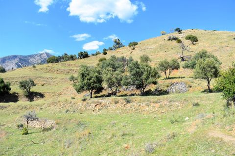 Helårsgrund i Mijas, Malaga, Mijas - € 998.000 | Ref: R3400351 - foto 2