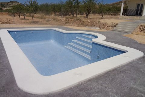 Villa i Pinoso, Alicante, Pinoso - € 357.000 | Ref: R4627198 - foto 24