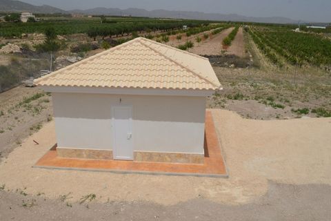 Villa i Pinoso, Alicante, Pinoso - € 454.000 | Ref: R4627216 - foto 40