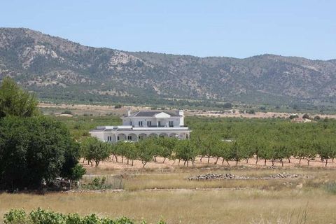 Villa i Pinoso, Alicante, Pinoso - € 487.000 | Ref: R4627225 - foto 23
