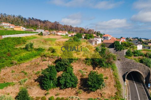 Landejendom i Calheta, Madeira, Calheta - € 295.000 | Ref: Q2403 - foto 4
