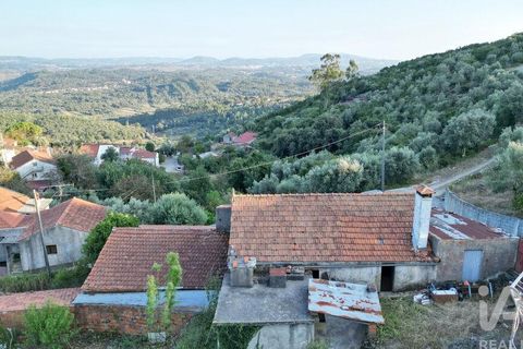 Byhus i Ansiao, Leiria, Ansiao - € 53.000 | Ref: 127222 - foto 30