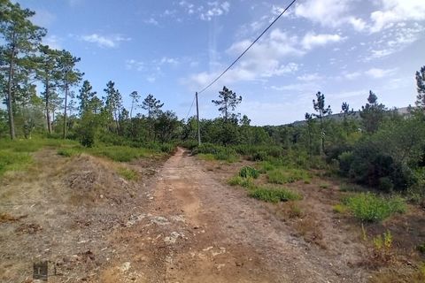 Helårsgrund i Pombal, Leiria, Pombal - € 50.000 | Ref: 304/2024 - foto 2