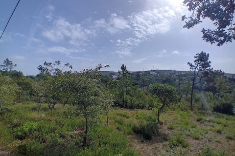 Helårsgrund i Pombal, Leiria, Pombal - € 50.000 | Ref: 304/2024 - foto 3
