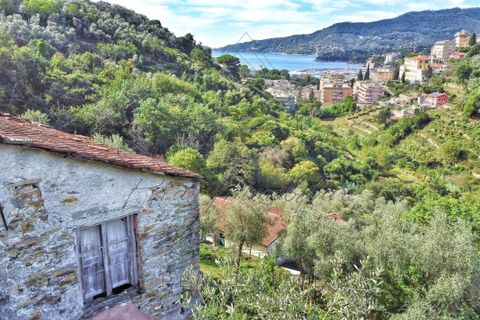 Villa i Rapallo, Genoa, Rapallo - € 300.000 | Ref: 569DV-2 - foto 1