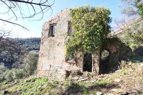 Villa i Rapallo, Genoa, Rapallo - € 300.000 | Ref: 569DV-2 - foto 3