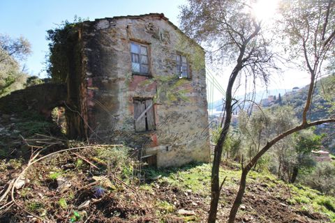 Villa i Rapallo, Genoa, Rapallo - € 300.000 | Ref: 569DV-2 - foto 4