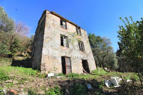 Villa i Rapallo, Genoa, Rapallo - € 300.000 | Ref: 569DV-2 - foto 5