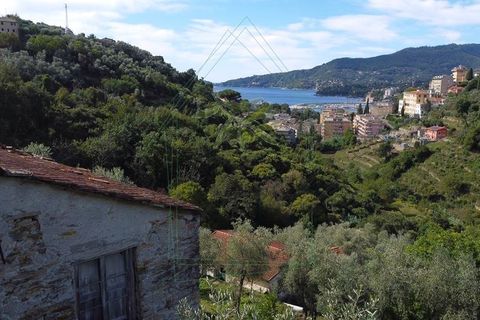 Villa i Rapallo, Genoa, Rapallo - € 300.000 | Ref: 569DV-2 - foto 7