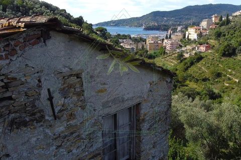 Villa i Rapallo, Genoa, Rapallo - € 300.000 | Ref: 569DV-2 - foto 10