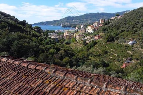 Villa i Rapallo, Genoa, Rapallo - € 300.000 | Ref: 569DV-2 - foto 11