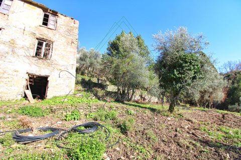Villa i Rapallo, Genoa, Rapallo - € 300.000 | Ref: 569DV-2 - foto 14