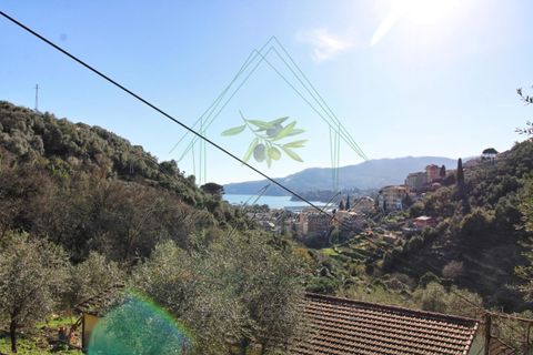 Villa i Rapallo, Genoa, Rapallo - € 300.000 | Ref: 569DV-2 - foto 21