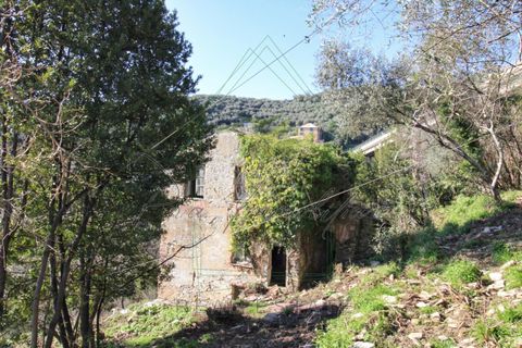 Villa i Rapallo, Genoa, Rapallo - € 300.000 | Ref: 569DV-2 - foto 23