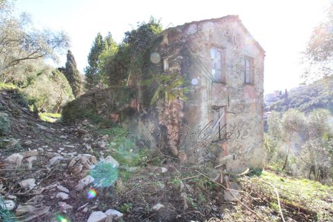 Villa i Rapallo, Genoa, Rapallo - € 300.000 | Ref: 569DV-2 - foto 24