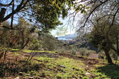 Villa i Rapallo, Genoa, Rapallo - € 300.000 | Ref: 569DV-2 - foto 27