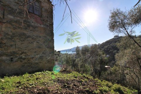 Villa i Rapallo, Genoa, Rapallo - € 300.000 | Ref: 569DV-2 - foto 31