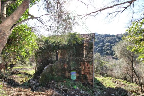 Villa i Rapallo, Genoa, Rapallo - € 300.000 | Ref: 569DV-2 - foto 33