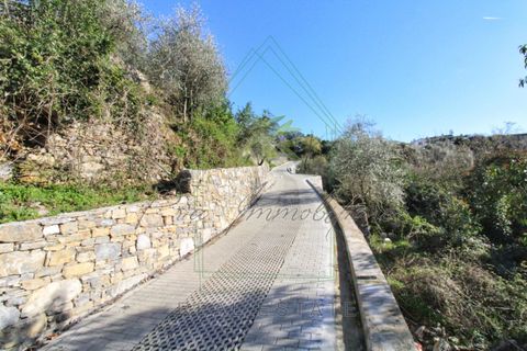 Villa i Rapallo, Genoa, Rapallo - € 300.000 | Ref: 569DV-2 - foto 36