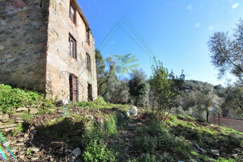 Villa i Rapallo, Genoa, Rapallo - € 300.000 | Ref: 569DV-2 - foto 38
