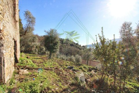 Villa i Rapallo, Genoa, Rapallo - € 300.000 | Ref: 569DV-2 - foto 39