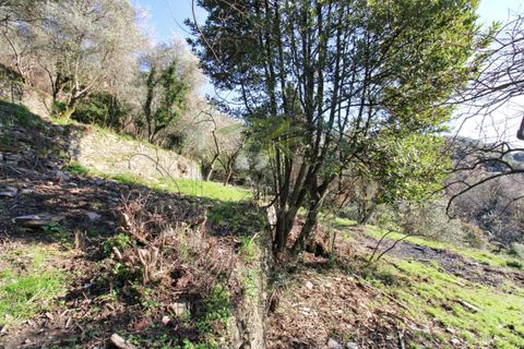 Villa i Rapallo, Genoa, Rapallo - € 300.000 | Ref: 569DV-2 - foto 41