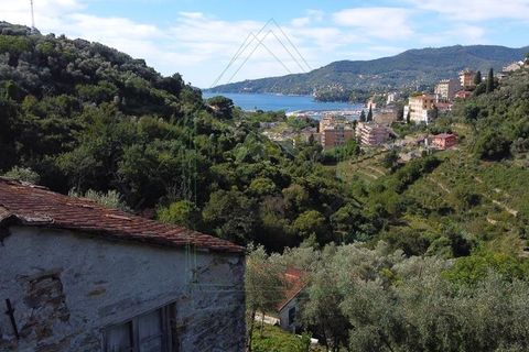 Villa i Rapallo, Genoa, Rapallo - € 300.000 | Ref: 569DV-2 - foto 45
