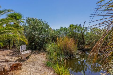 Villa i Moncarapacho, Faro, Moncarapacho - € 2.499.000 | Ref: DG3820 - foto 32
