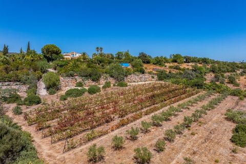 Villa i Moncarapacho, Faro, Moncarapacho - € 2.499.000 | Ref: DG3820 - foto 34