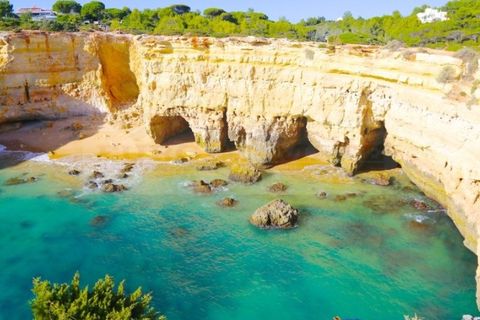 Erhvervsejendom i Estombar, Faro, Estombar - € 2.500.000 | Ref: SÒL_279 - foto 3