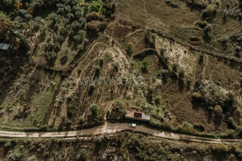 Farm i Fundao, Castelo Branco, Fundao - € 17.500 | Ref: 255240192 - foto 2