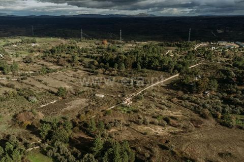 Farm i Fundao, Castelo Branco, Fundao - € 17.500 | Ref: 255240192 - foto 3