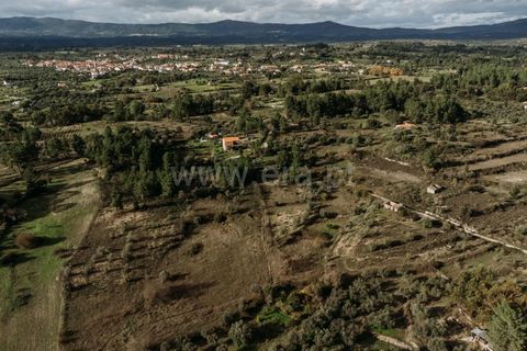 Farm i Fundao, Castelo Branco, Fundao - € 17.500 | Ref: 255240192 - foto 4