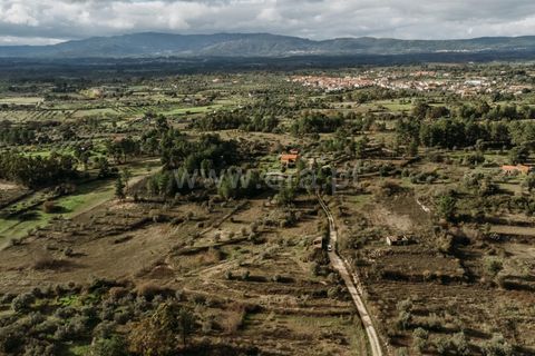 Farm i Fundao, Castelo Branco, Fundao - € 17.500 | Ref: 255240192 - foto 5