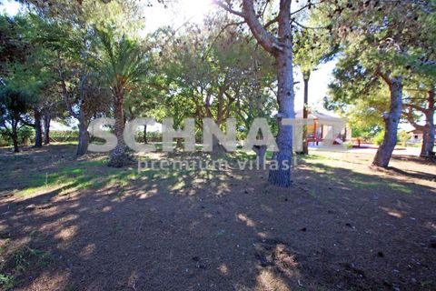 Villa - Els Poblets, Alicante, Els Poblets - € 850 000 | Réf : EL5133 - photo 25