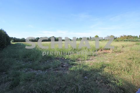 Villa - Els Poblets, Alicante, Els Poblets - € 850 000 | Réf : EL5133 - photo 34