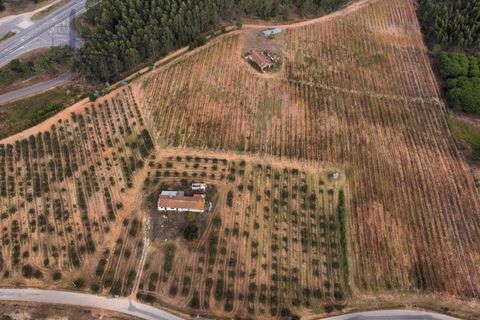 Helårsgrund i Torres Vedras, Lisbon, Torres Vedras - € 75.000 | Ref: KBL10434_2 - foto 3