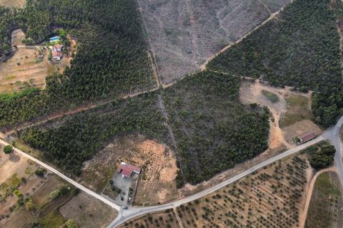 Helårsgrund i Torres Vedras, Lisbon, Torres Vedras - € 75.000 | Ref: KBL10434_2 - foto 6