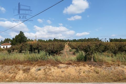 Helårsgrund i Torres Vedras, Lisbon, Torres Vedras - € 75.000 | Ref: KBL10434_2 - foto 9