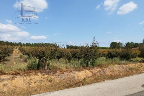 Helårsgrund i Torres Vedras, Lisbon, Torres Vedras - € 75.000 | Ref: KBL10434_2 - foto 10