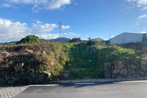 Terra a Cavaloes, Braga, Cavaloes - € 280.000 | Ref: 3460 - foto 2